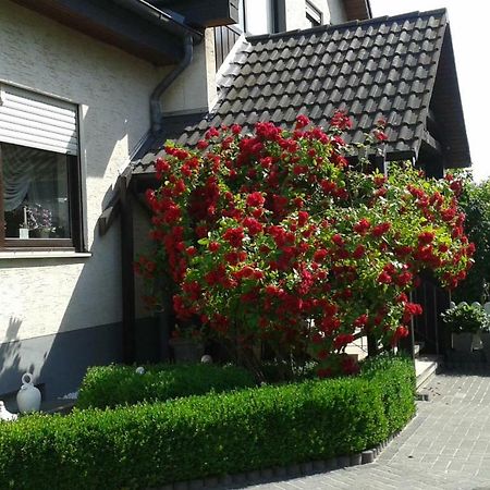 Ferienwohnung Raupe Fritzlar Exteriör bild