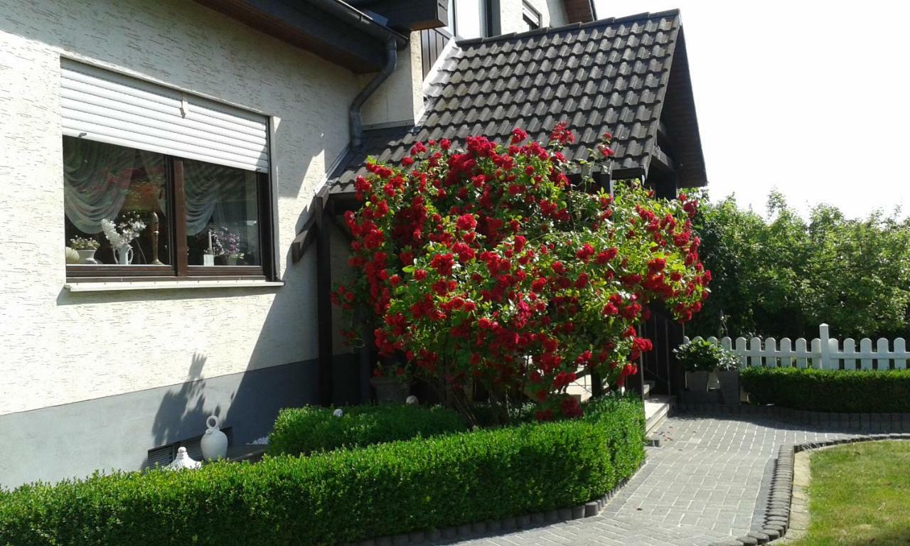Ferienwohnung Raupe Fritzlar Exteriör bild
